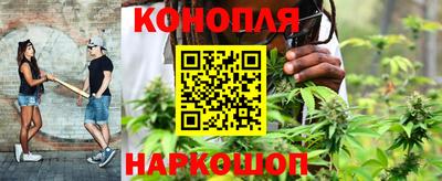 PSILOCYBIN Гусев