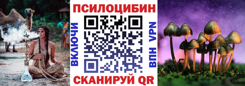 где купить наркоту  Конаково  Галлюциногенные грибы прущие грибы 