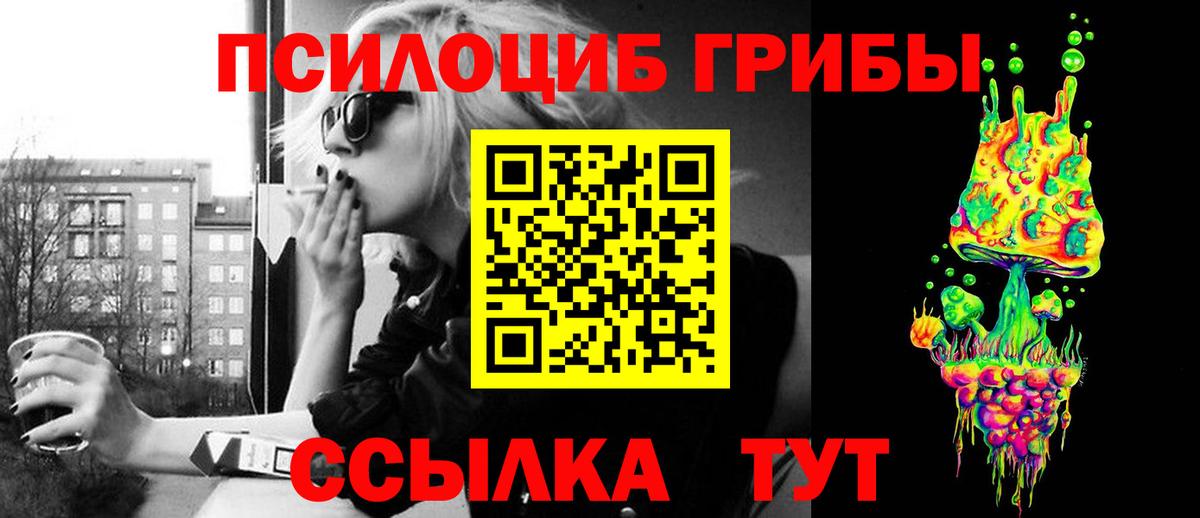 Галлюциногенные грибы Psilocybine cubensis Конаково